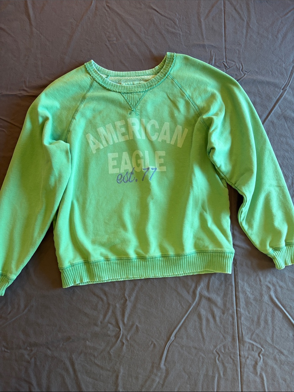 American Eagle Outfitters Mint Green Crew Sweater with Front Logo